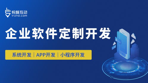 應(yīng)標軟件外包怎么做 銳智互動
