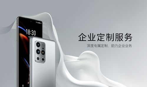 魅族企業(yè)服務正式上線 可深度定制產(chǎn)品與軟件等