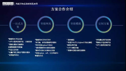 順舟智能王志磊 協(xié)力構(gòu)建互聯(lián)互通的數(shù)字空間生態(tài)
